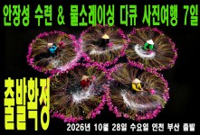안장성 수련 & 물소레이싱 다…